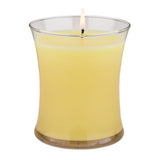 14-oz-Silver Scents Candle - Paradise